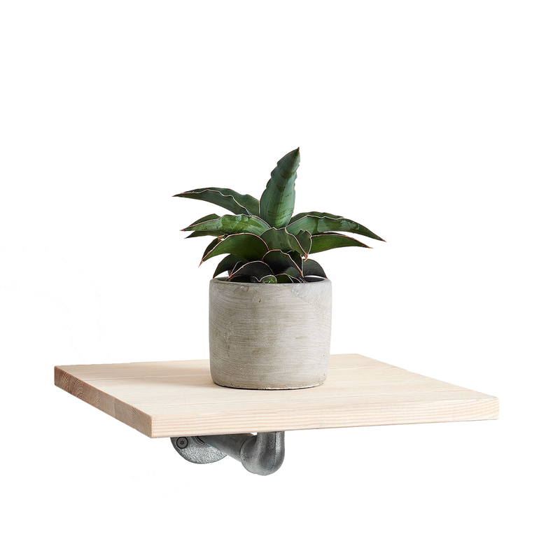 Rackbuddy Hat/zapato - con soportes